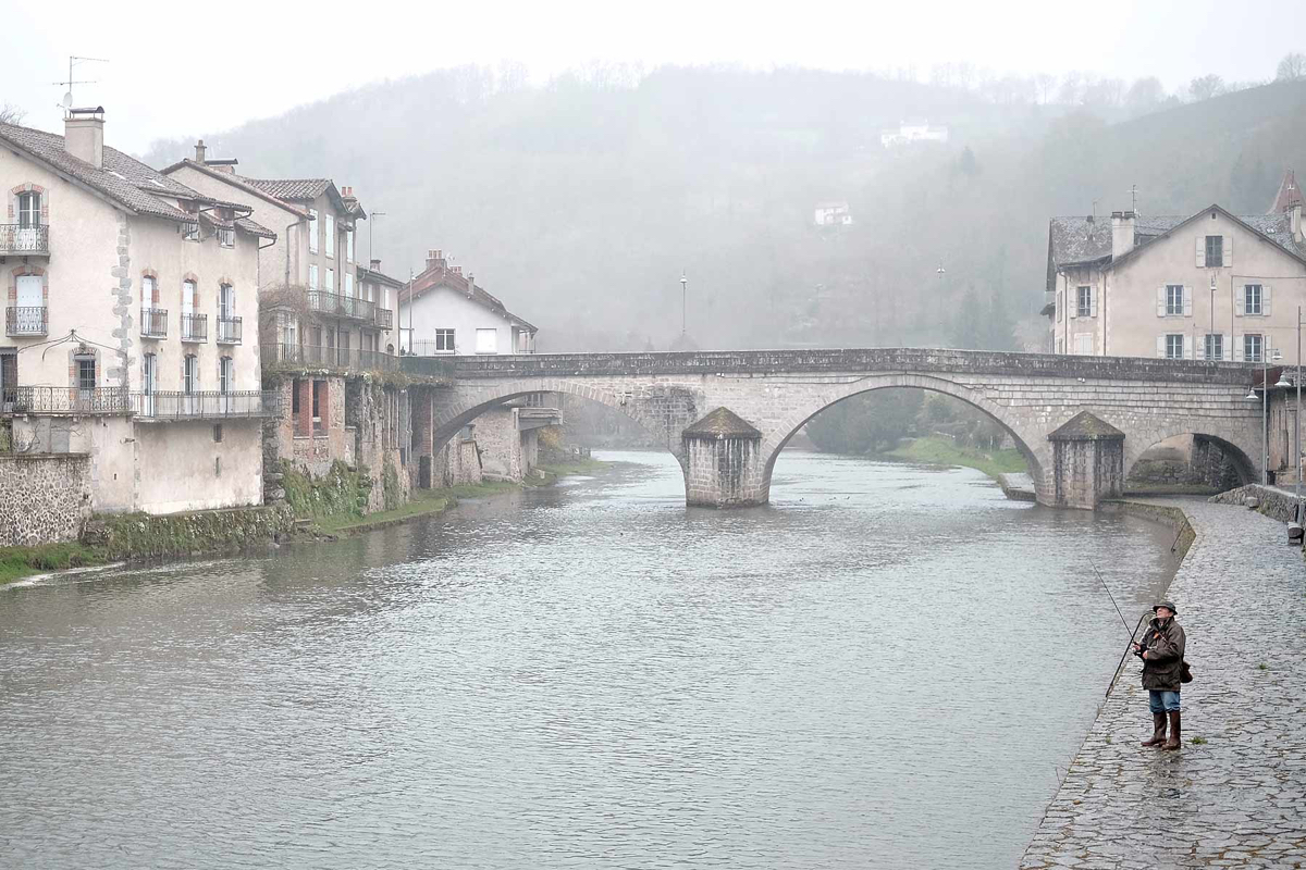 Vissen-in-de-regen.jpg