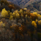 Herfstbos-correze.jpg